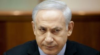 w-shifty-bibi.jpg